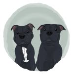 ragnarandloki profile picture