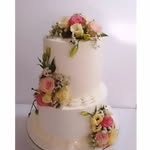 raheleh_sadeghi profile picture