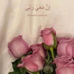 rahmaremdan profile picture