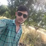 rahul_carpenter4 profile picture