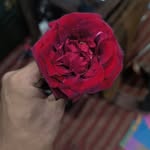 rahul___love___sanjona profile picture