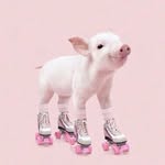 rainbowsandsnakes profile picture