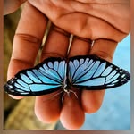 raj__143d profile picture