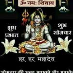raj5566kumar profile picture