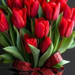 rajabova_shah0dat profile picture