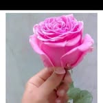 raja_hindustani_1100 profile picture
