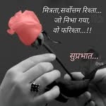 rajan52487 profile picture