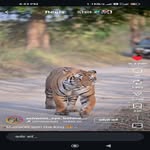 rajananda7849 profile picture