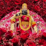 rajanjali693 profile picture