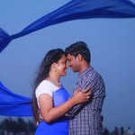 rajasekharcherry profile picture