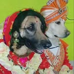 rajasthani_indian profile picture