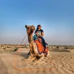 rajasthan__visit profile picture