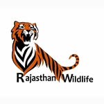 rajasthanwildlife_ profile picture
