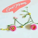 rajeshshah1257 profile picture