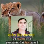 rajeshsingh5887 profile picture
