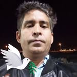 rajeshtiwari7233 profile picture