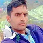 rajkumari98228 profile picture