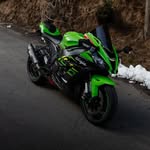 rajput_girl_3375 profile picture