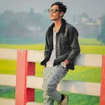 rajshiponsarker profile picture