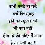 raju.sulane profile picture