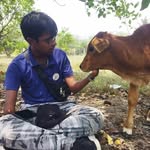 raju_microbot profile picture