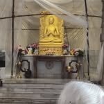 rajurai4332 profile picture