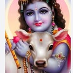 rajveerchaprana1996 profile picture