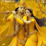 rajveerkashvap profile picture