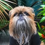 ralphienyc profile picture