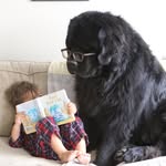 ralphie_the_newf_and_the_boss profile picture