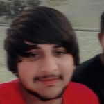 raman_vardaat profile picture
