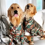 ramenpairedwithpinot profile picture