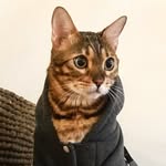 ramonnadamas profile picture