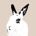 ramonthebunny profile picture