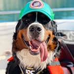 ramses_kingofberners profile picture