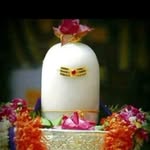 ramsharma9274 profile picture