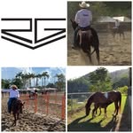 ranchogrande.vzla profile picture