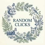 random_cliicks_0 profile picture