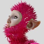 ranina.run profile picture