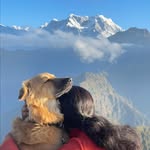 ranita1roy profile picture