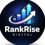 rankr_digital profile picture