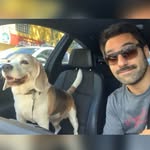 raphaelsibilla profile picture