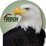 raptoreducationgroup profile picture