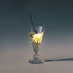 rassabotanicals profile picture