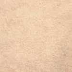 raulsbud__ profile picture