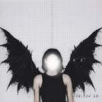 ravenastelaris profile picture
