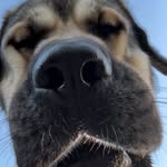 raventreeranch profile picture