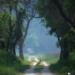 ravinandiwale profile picture