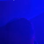 ray3823 profile picture