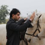 raza_fq profile picture